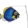 Swimming Fish - Powder Surgeon