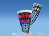 Rieleit Foil 20 Kite - Rainbow