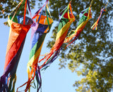 12 in. Spinsock - Rainbow