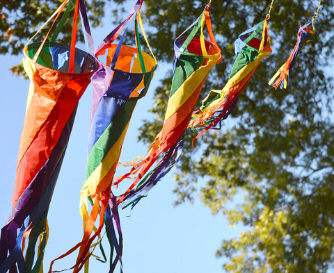 12 in. Spinsock - Rainbow
