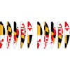 22 in. Hot Air Balloon - Maryland