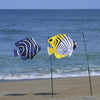 Swimming Fish - Angelfish