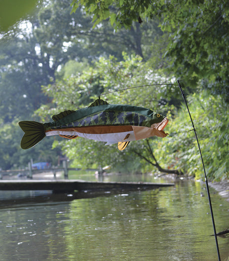 Swimming Fish - Bass