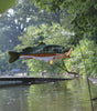 Swimming Fish - Bass