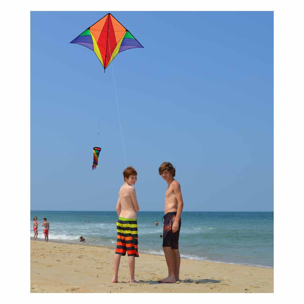 Gyro Delta Kite - Rainbow