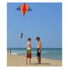 Gyro Delta Kite - Rainbow