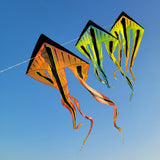 Shock Flo-Train Delta Kite Train