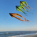 Shock Flo-Train Delta Kite Train