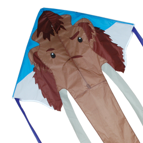 Large Easy Flyer Kite - Woolly