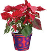 Flower Pot Cover - Aztec Sunrise