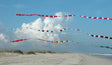 3 in. x 50 ft. Transition Tail - Rainbow