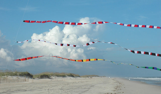 3 in. x 25 ft. Transition Tail - Rainbow