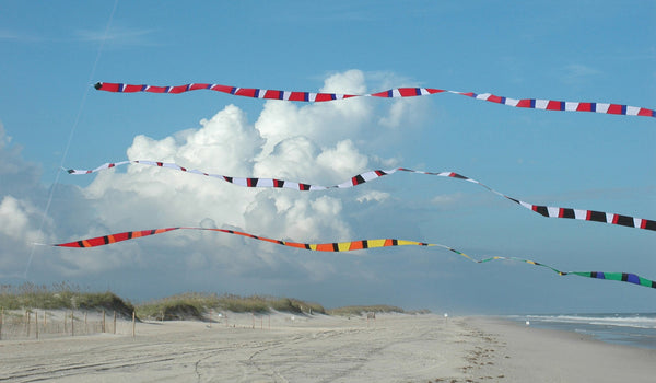 3 in. x 25 ft. Transition Tail - Rainbow