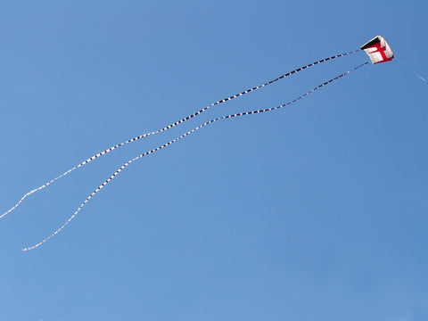 5 in. x 100 ft. Transition Tail - Black/White