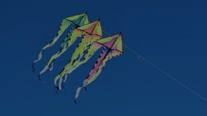 46 in. Flo-Train Delta Kite - Canada Flag (Single Kite)