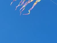 46 in. Flo-Train Delta Kite - Unicorn (Single Kite)
