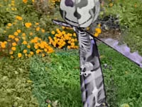 Large Spinning Friend - Skeleton