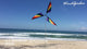 9.5 ft. Rainbow Wind Generator Replacement Blades