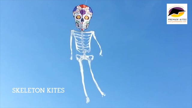 13 ft. Skeleton Kite