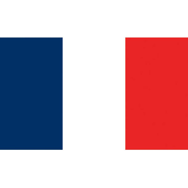 Flag Kite - France