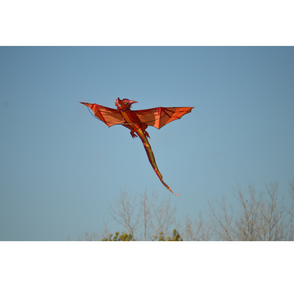 3D Dragon Kite - Emberscale